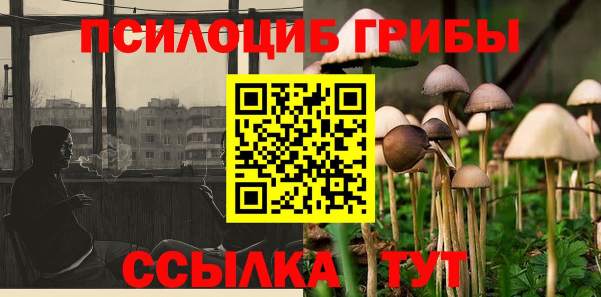 Псилоцибиновые грибы прущие грибы Советский